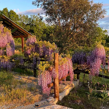 Apartamento Solisera *