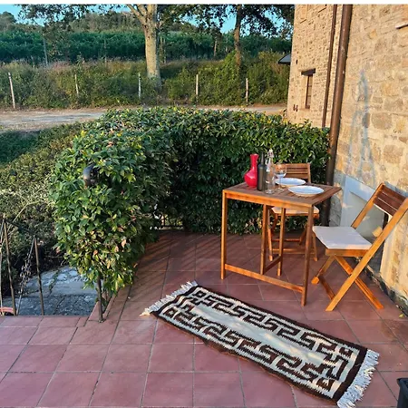 Solisera Todi