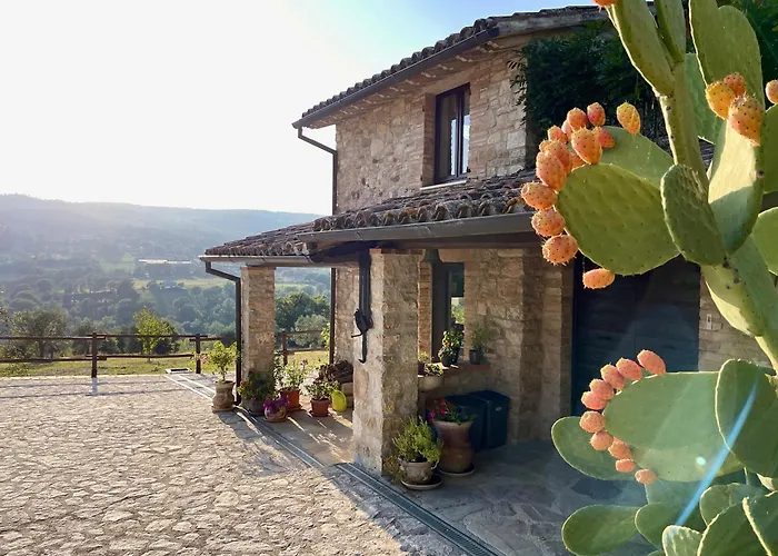 Solisera Apartman Todi