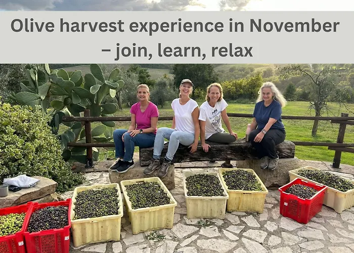 Apartman Solisera Todi